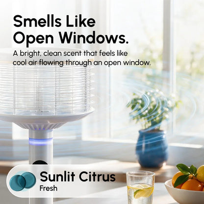 Scent Pods - 3 Pack